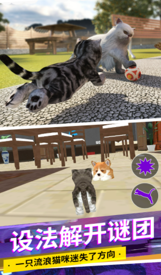 猫咪城市模拟app下载