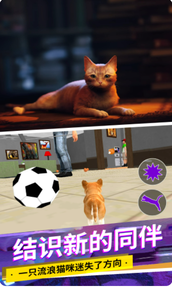 猫咪城市模拟