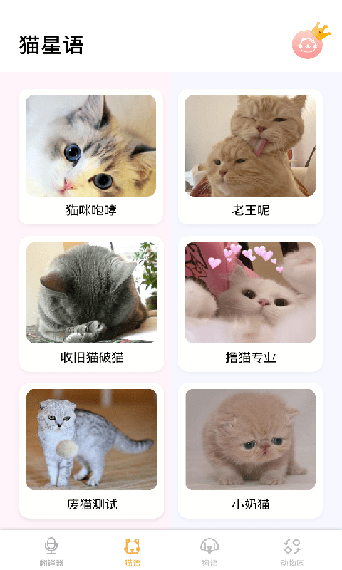 猫猫语翻译下载