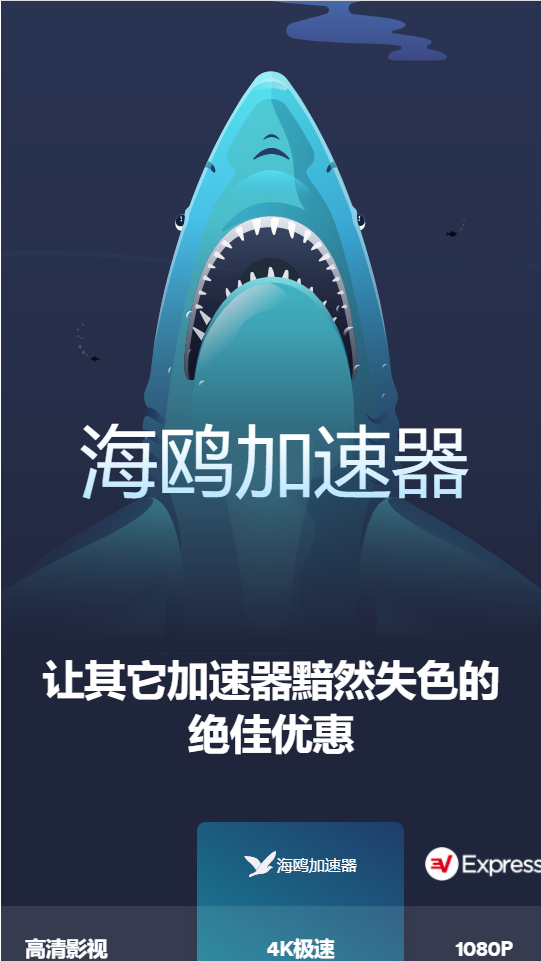 海鸥加速器 永久免费版app下载